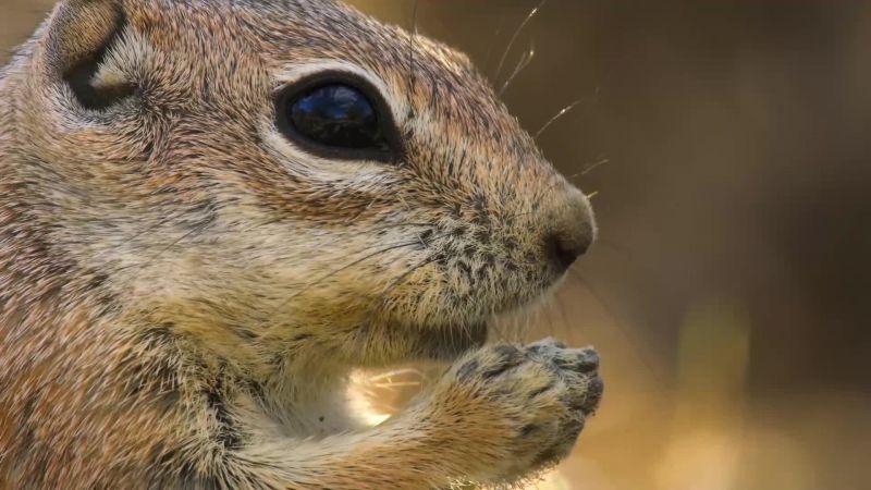 For four weeks, he's been safe underground with mom
