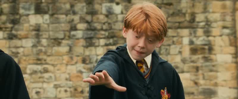 For your information Potterasphodel and wormwood make the Draught of the Living DeadA bezoar is a stone found in a goat's stomach and will save you from poisonMonkshood and wolfsbane are the same