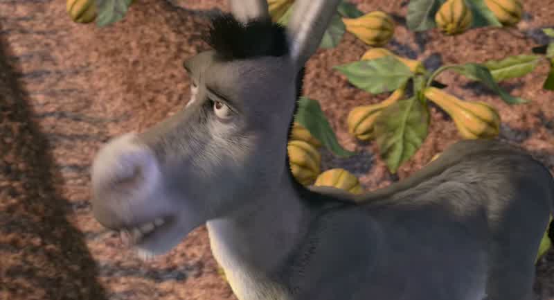 For your information there is a lot more to Ogres than people thinkExample ExampleOK A a m Ogres are like onionsThey stink Yes noO they make you cry NoOh you leave them out on the sun and they get all
