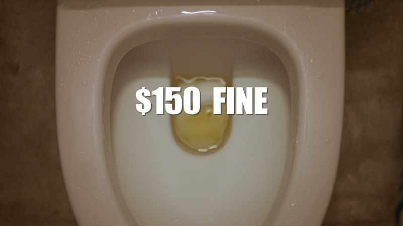 For instance, not flushing a public toilet