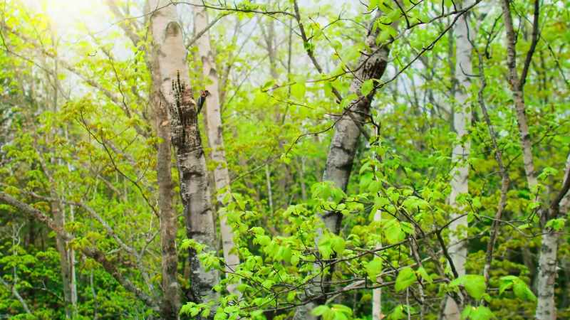 For most, spring's a time to get out and get eating