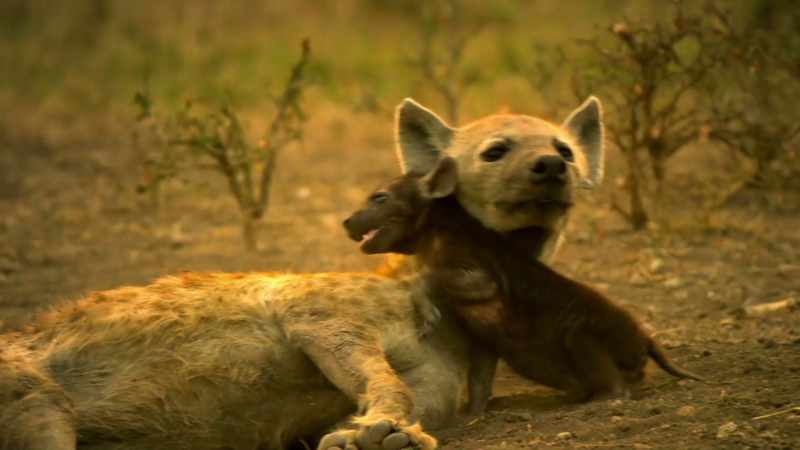 For her mother, providing for family always comes first