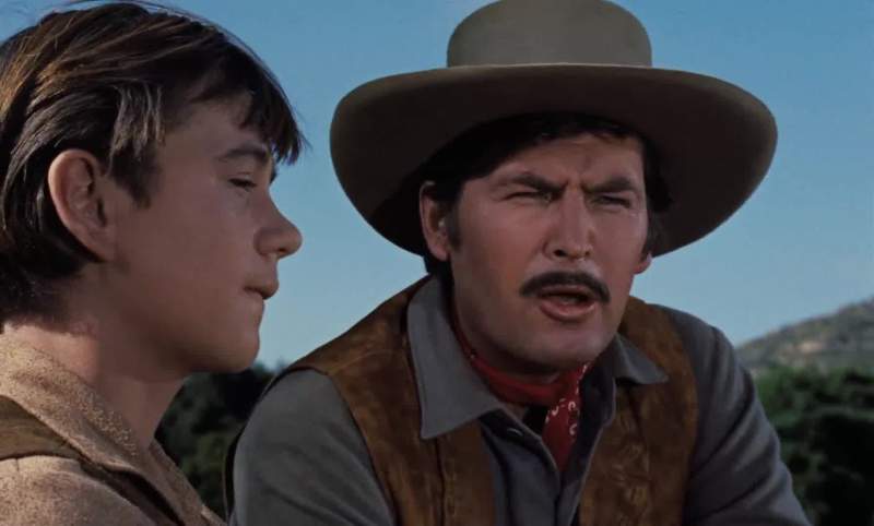 For no good reason a man can figure out