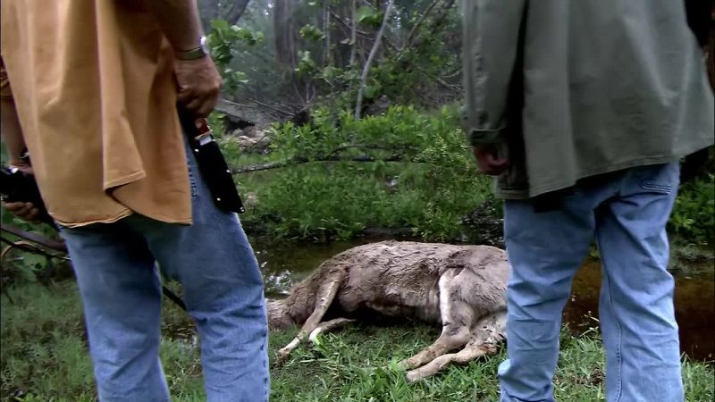 For now, this hunt will control The urges you feel