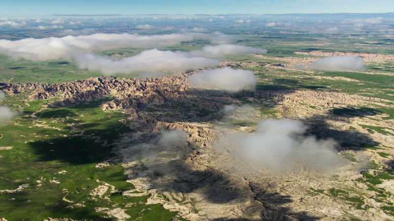 For over a million square miles, there's not a tree in sight