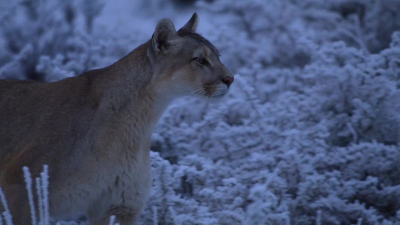 For Petaca, the winter has brought an even greater concern