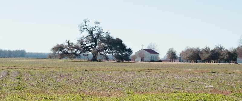 For this plantation to survive, we need workers