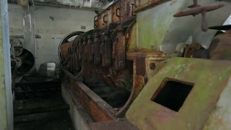 for processing the fish