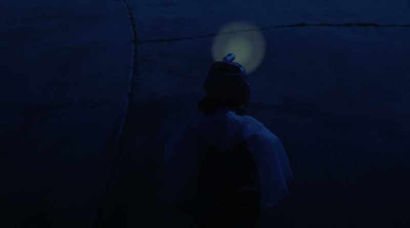 For this star Calypso had bidden him to keep
