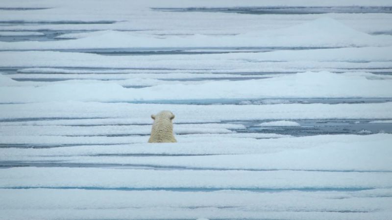 For the final attack, she needs to get back onto the ice