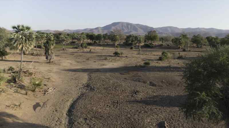 For the Majungasaurus, yet another hunt has ended in failure