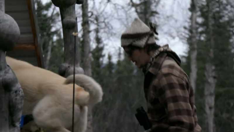 For the moose hunt, I think it's best if