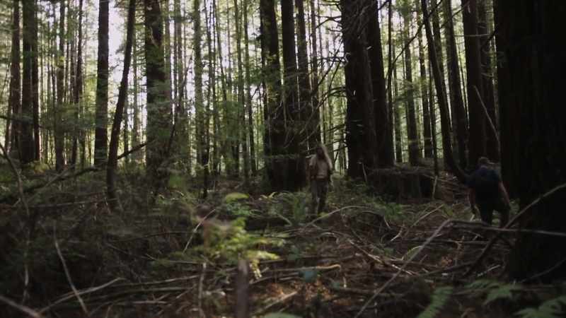 For us, aside from finding an actual bigfoot