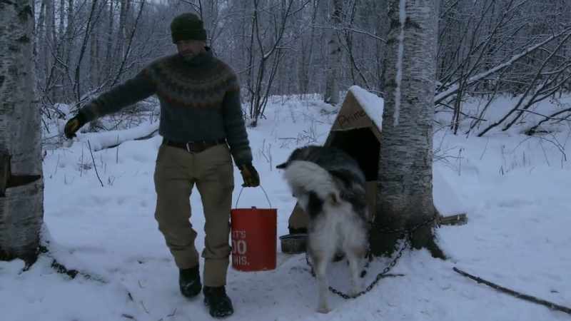 For working animals that endure the cold