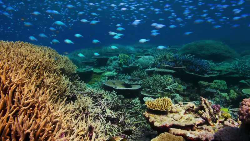 For years we thought that the oceans were so vast