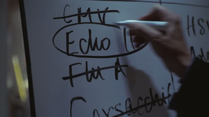 Foreman: Echovirus 11