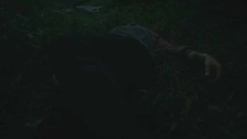 [forest din]