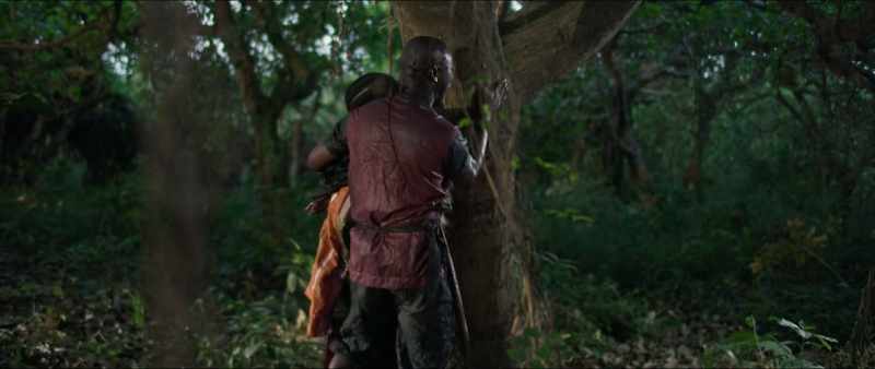 Forest giant!