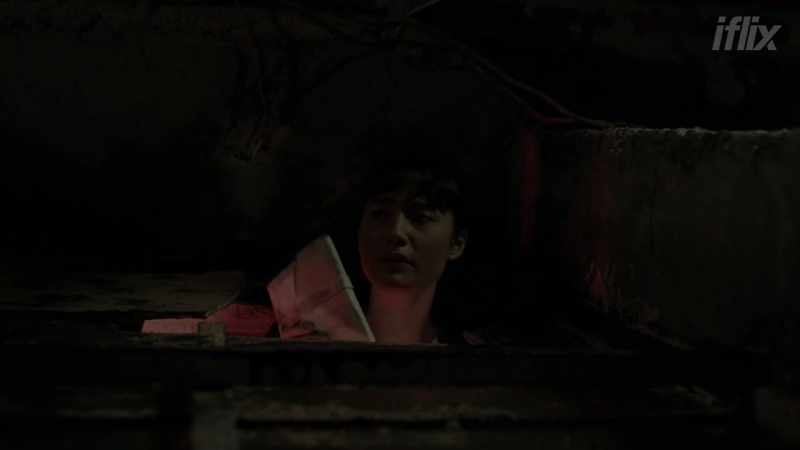 Forgive my insolence for taking this diary