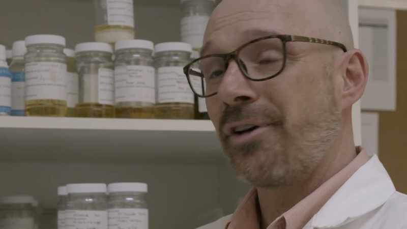 Formaldehyde is a fantastic preservative