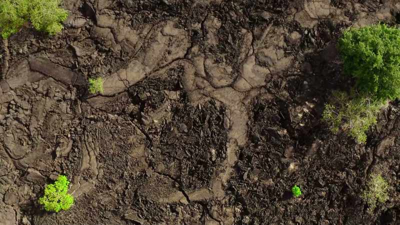 Formed from porous, volcanic rock, they absorb rainfall