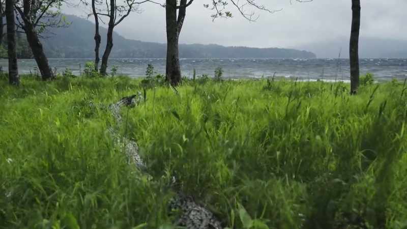 Fortunately, in the spring, winds sweep across the lake