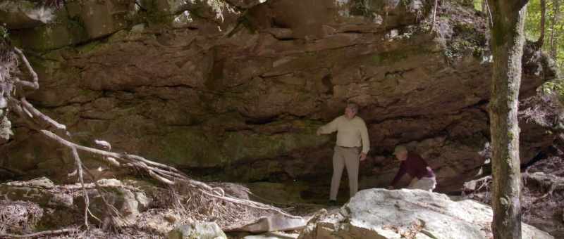 fossil evidence showing me forests
