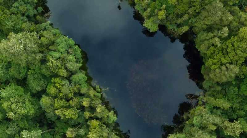 Fossil pollen has revealed some species have remained unchanged