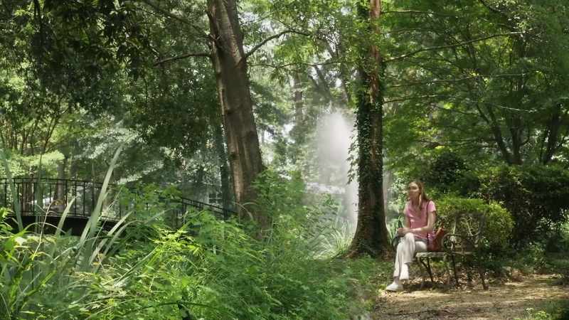 (fountain sprays)