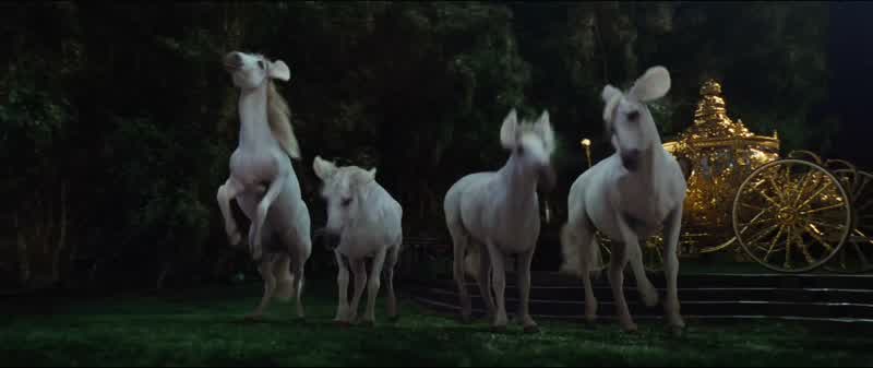 Four white chargers
