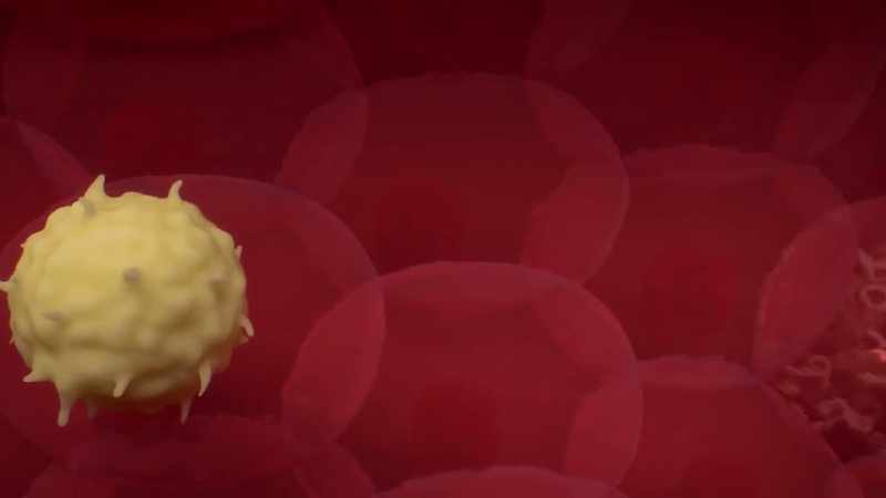 Fourteen days later, my blood sample tested negative