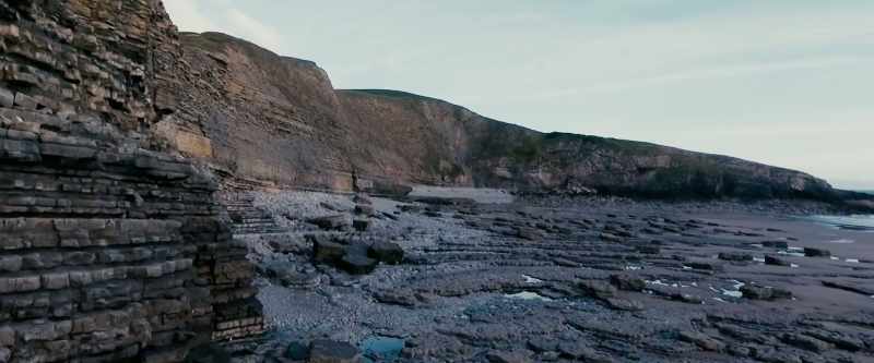 FOX: Archeologists often use the size of a skull's brow