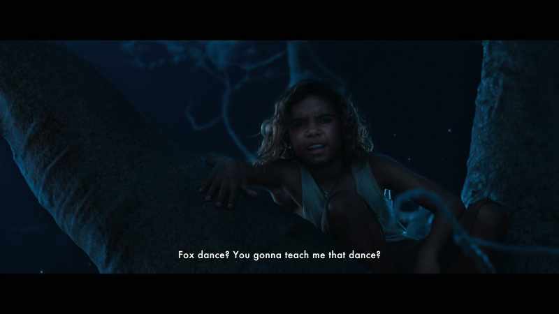 Fox dance? You gonna teach me that dance?