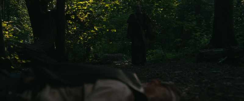 FOX: There's no, like, dark spirits or anything