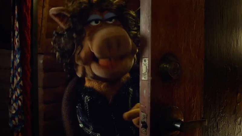 Fozzie What the heck are you doing hibernating