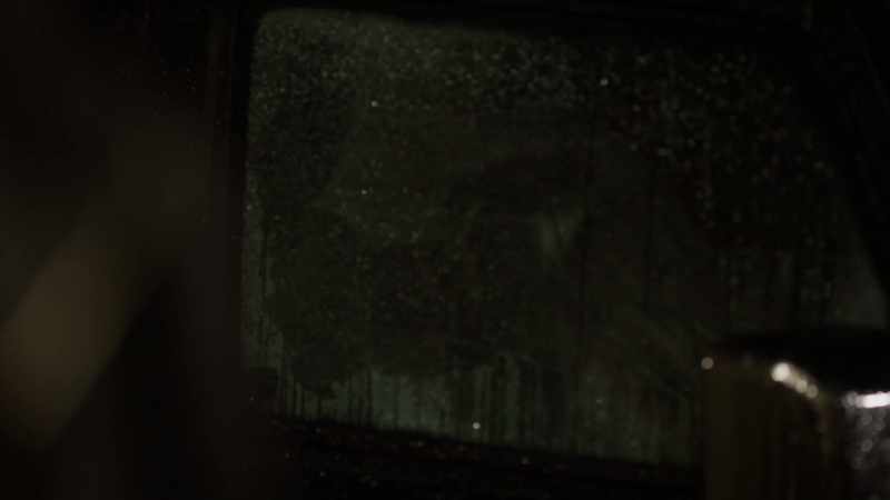 Fraser: Move! -(bangs on window, door opens)