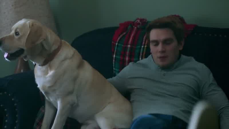 FRED: Archie