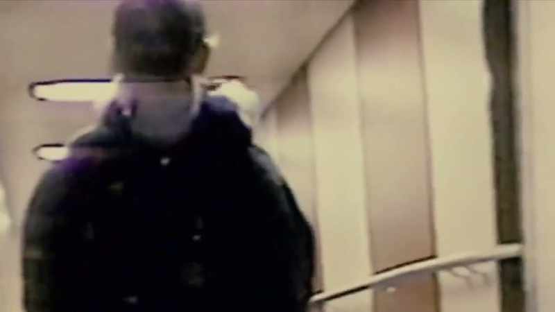 Frederick Bourdin took the identity