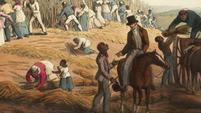 Freedom for Negroes is a chimera.