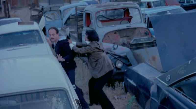 Freeze!