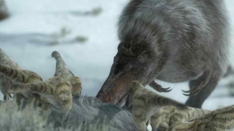 Fresh meat for her youngsters