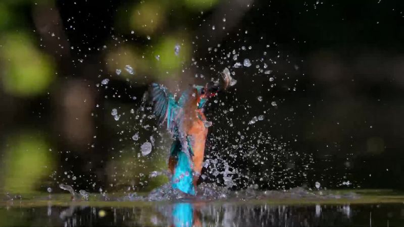Fresh water