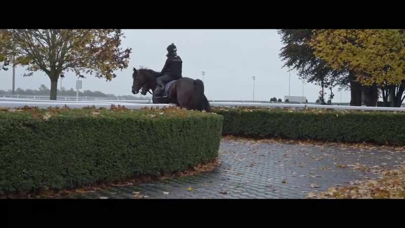 From a jockey's point of view it is important he went