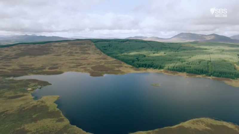 From above, it was clear