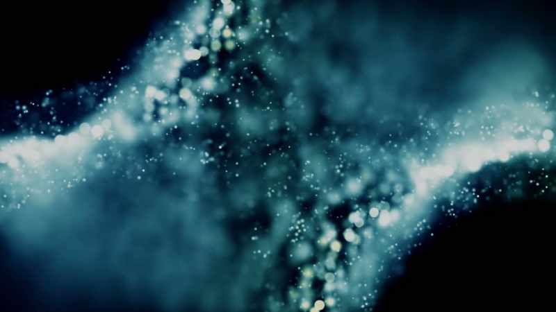 From consciousness, your intent can modify future probability