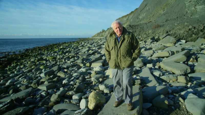 from-devon-dorset