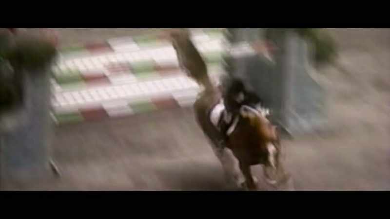 From outside, the show-jumping world seems as regal