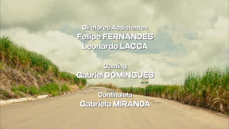 From Pernambuco – to the world