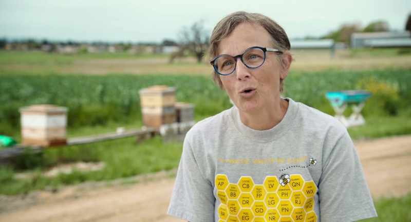 From the consumers demanding organic food