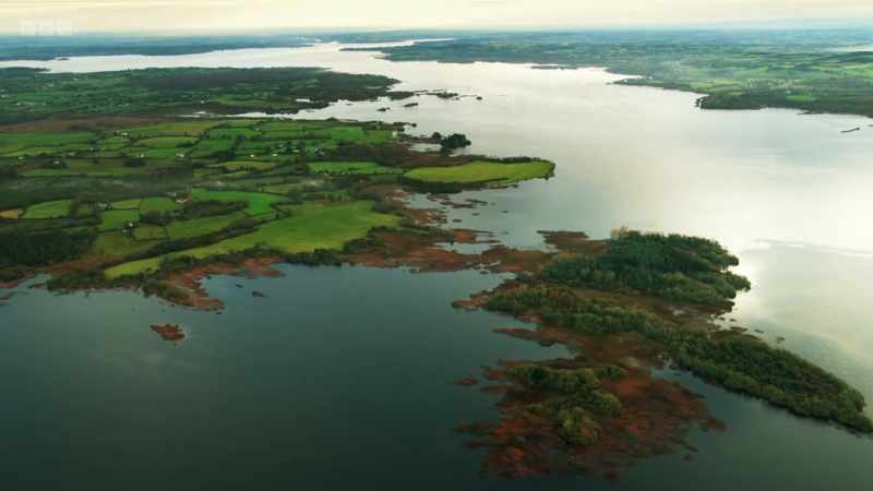 From the great Shannon River in Ireland